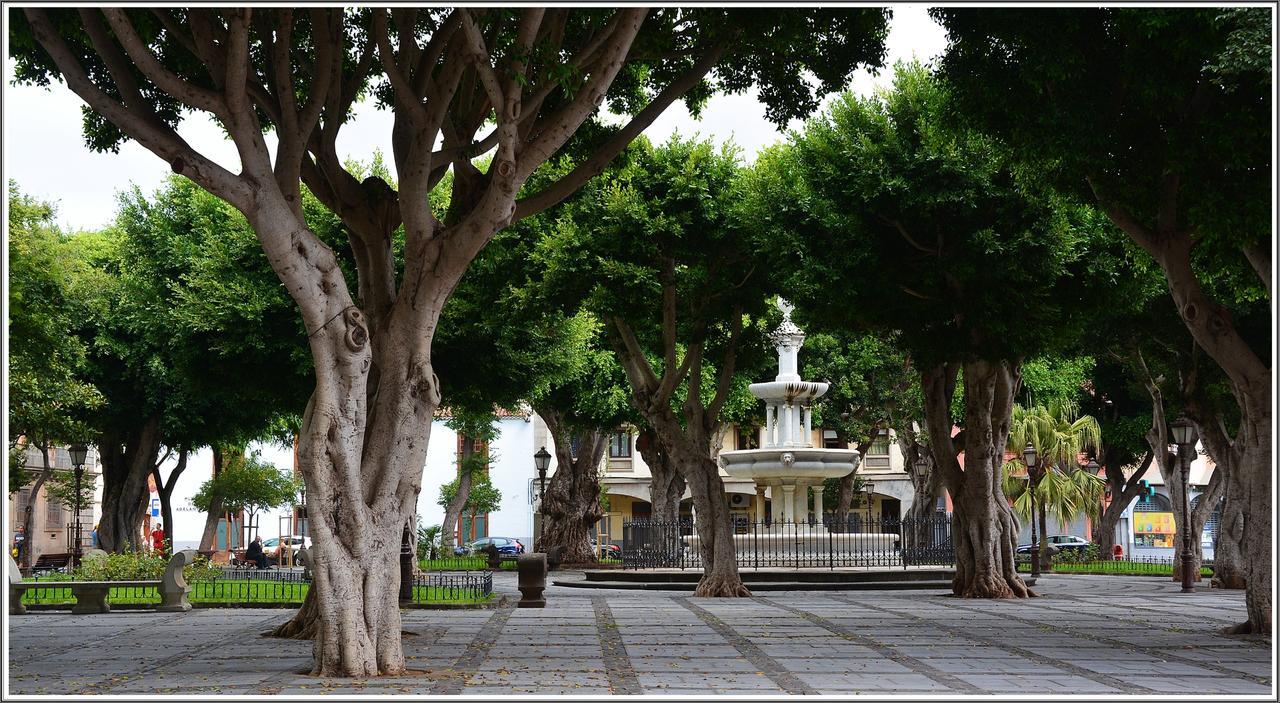 Vivienda Vacacional La Laguna Luxe المظهر الخارجي الصورة
